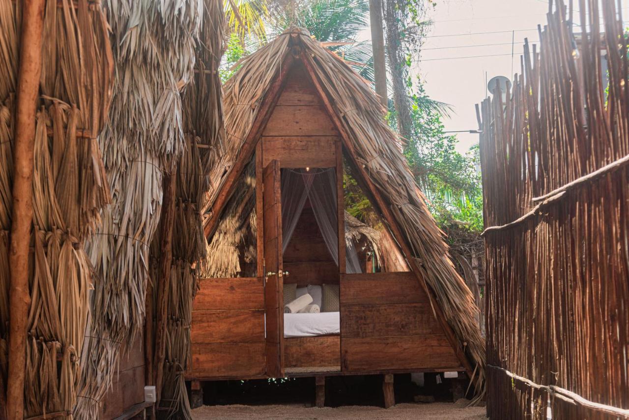 Mapache Hostel & Camping جزيرة هول بوكس المظهر الخارجي الصورة