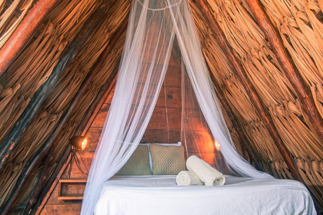 Mapache Hostel & Camping جزيرة هول بوكس المظهر الخارجي الصورة