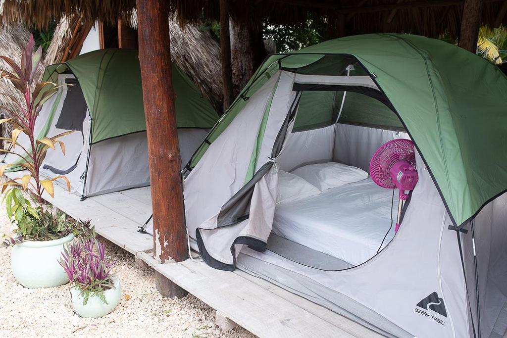 Mapache Hostel & Camping جزيرة هول بوكس المظهر الخارجي الصورة