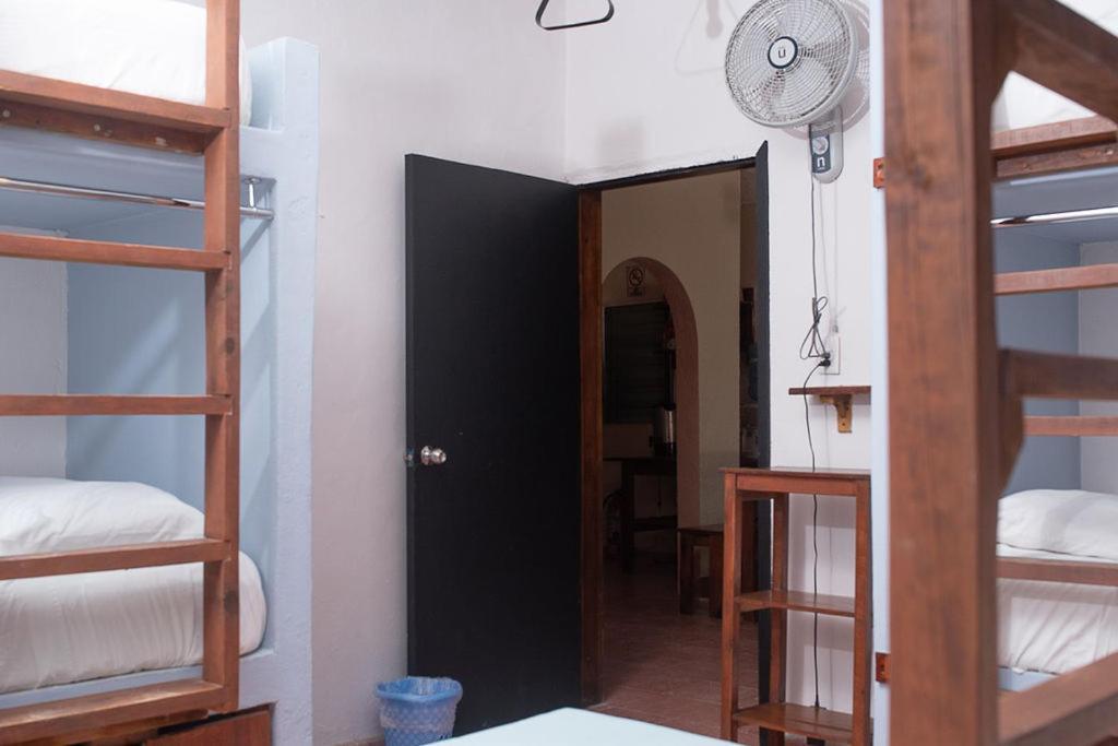 Mapache Hostel & Camping جزيرة هول بوكس المظهر الخارجي الصورة