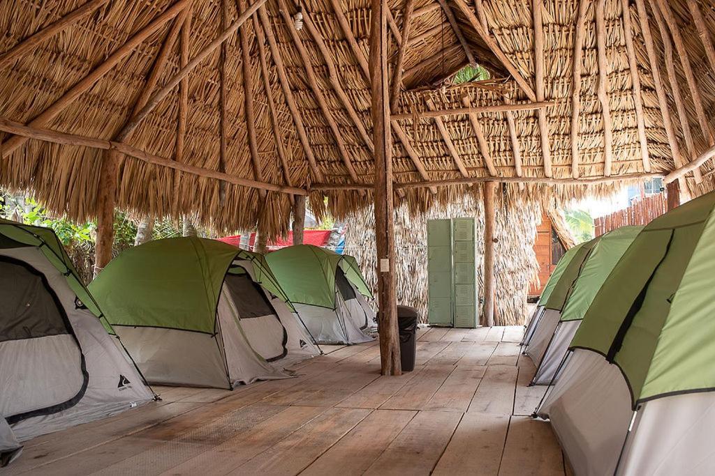 Mapache Hostel & Camping جزيرة هول بوكس المظهر الخارجي الصورة