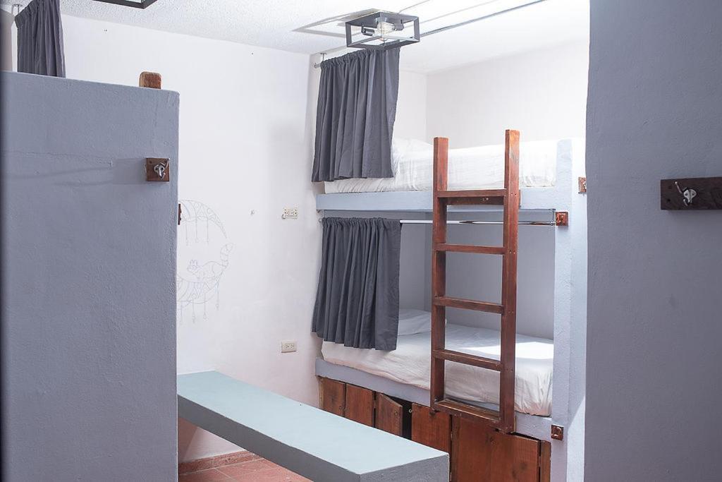 Mapache Hostel & Camping جزيرة هول بوكس المظهر الخارجي الصورة