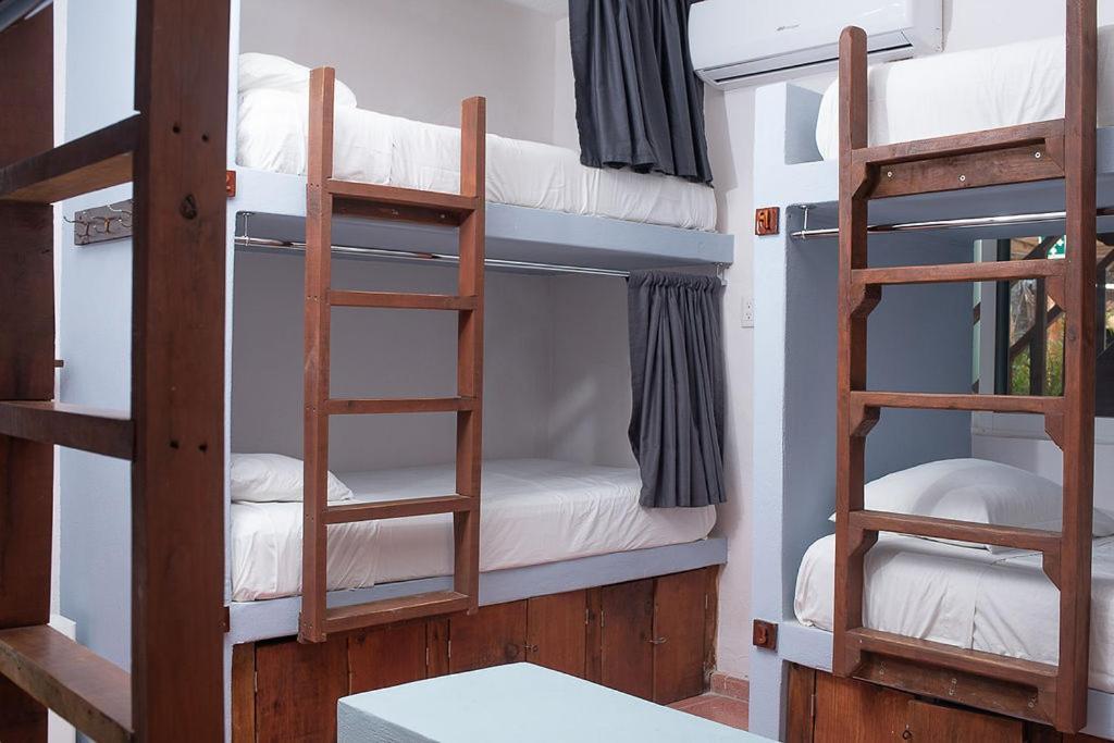 Mapache Hostel & Camping جزيرة هول بوكس المظهر الخارجي الصورة