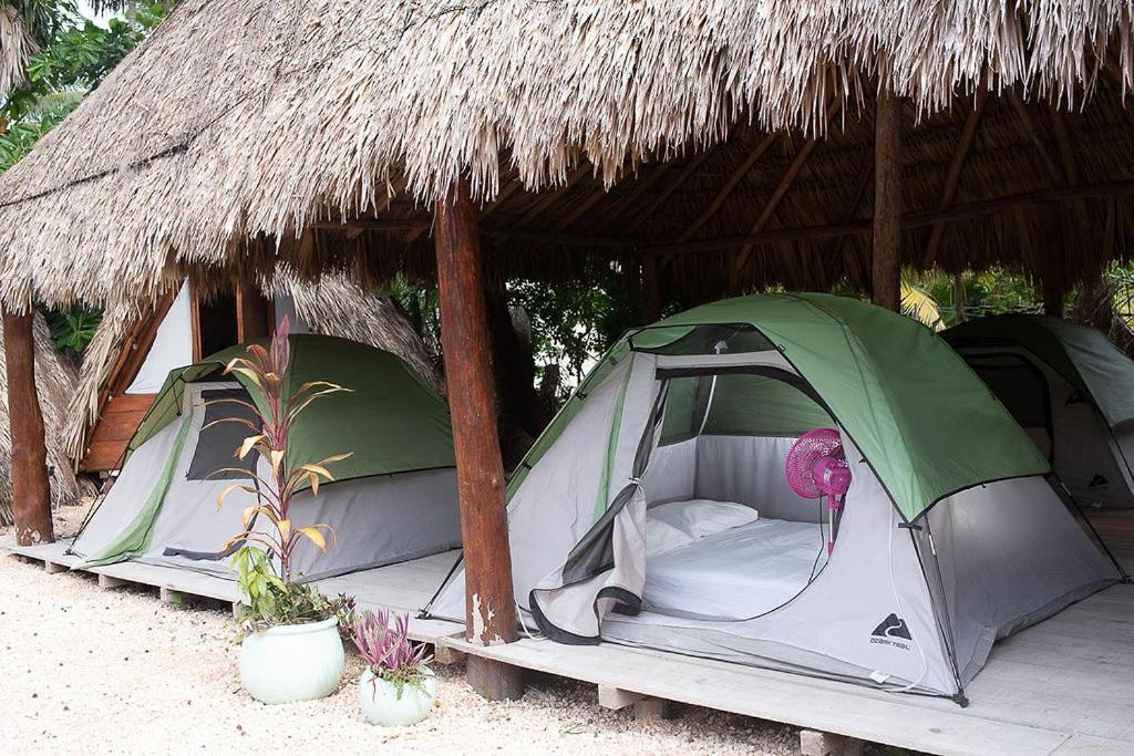 Mapache Hostel & Camping جزيرة هول بوكس المظهر الخارجي الصورة