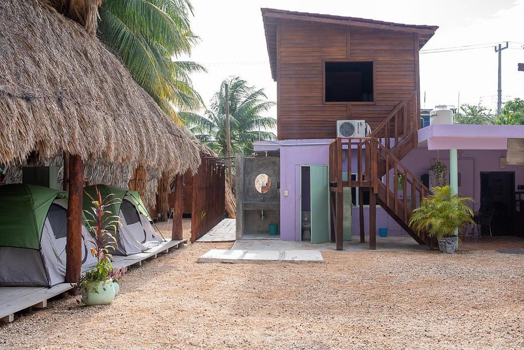 Mapache Hostel & Camping جزيرة هول بوكس المظهر الخارجي الصورة