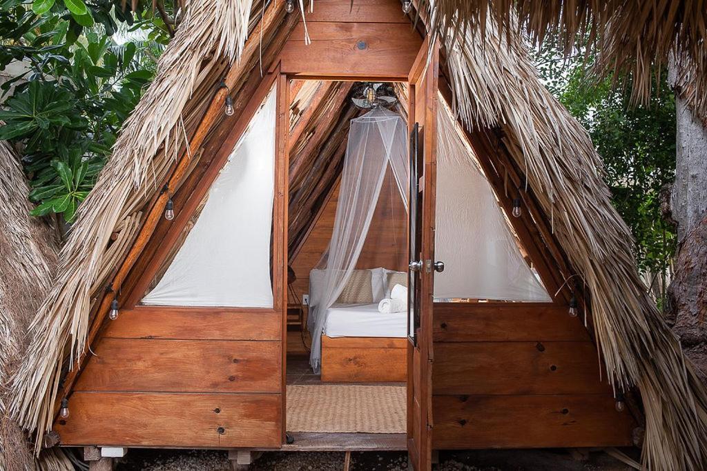 Mapache Hostel & Camping جزيرة هول بوكس المظهر الخارجي الصورة