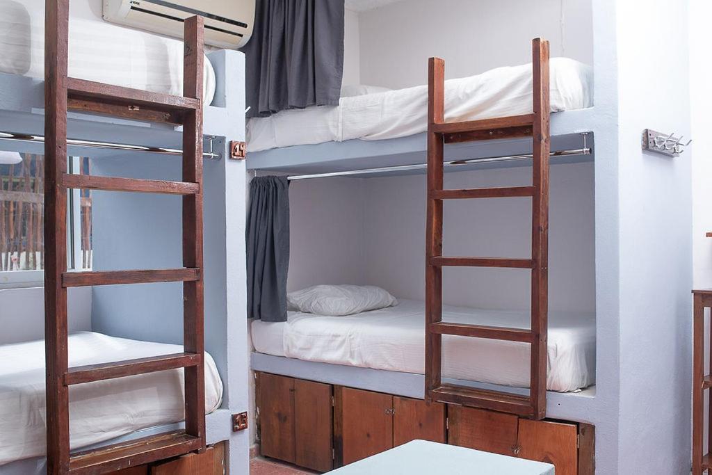 Mapache Hostel & Camping جزيرة هول بوكس المظهر الخارجي الصورة