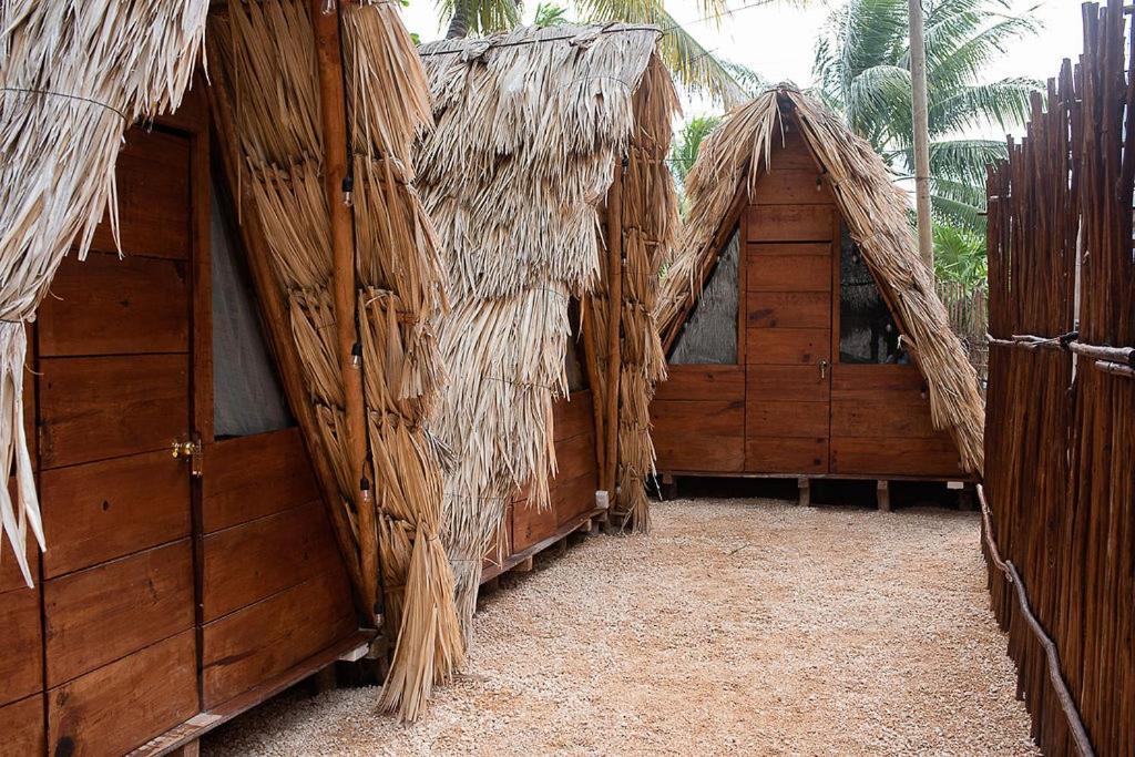 Mapache Hostel & Camping جزيرة هول بوكس المظهر الخارجي الصورة