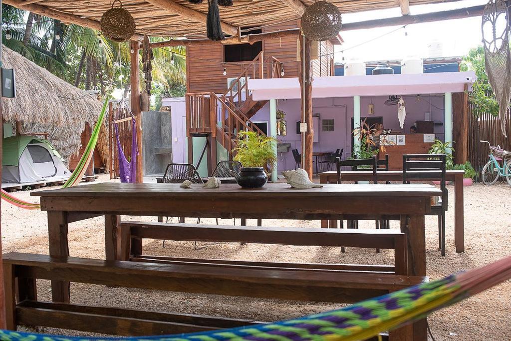 Mapache Hostel & Camping جزيرة هول بوكس المظهر الخارجي الصورة